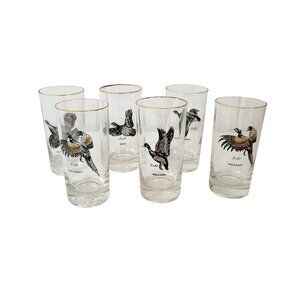 Vintage Game Birds Highball Drinking Glasses Set of Six MCM